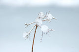Diamonds in Winter I by Felicity Bradley. SKU 60537i. Archival Giclee Fine art print for wall decor.