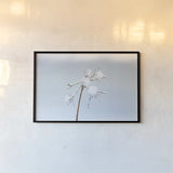 Diamonds in Winter I by Felicity Bradley. shown as a paper print in a black flame. Available as a archival giclee rolled canvas, fine art paper, or poster print. SKU 60537i.
