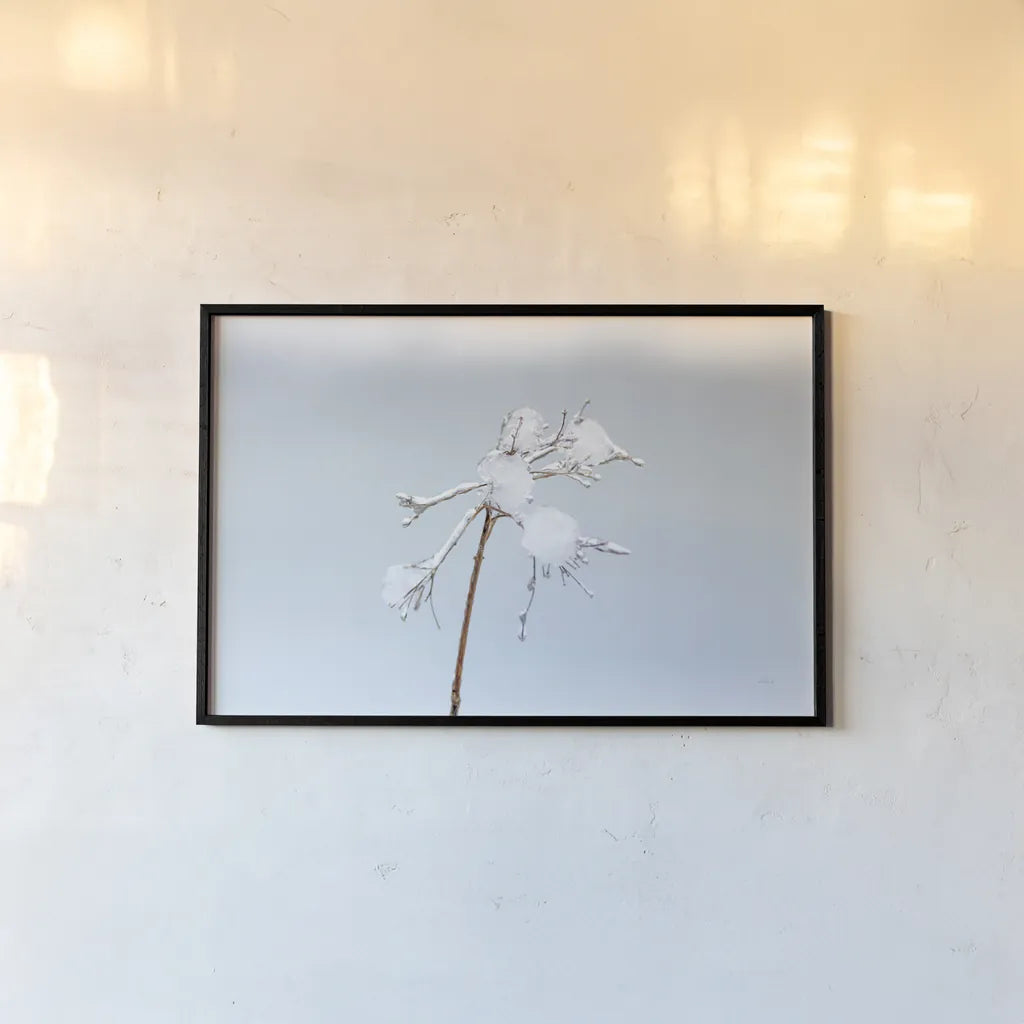 Diamonds in Winter I by Felicity Bradley. shown as a paper print in a black flame. Available as a archival giclee rolled canvas, fine art paper, or poster print. SKU 60537i.