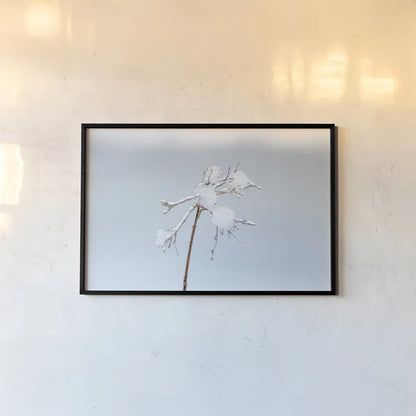 Diamonds in Winter I by Felicity Bradley. shown as a paper print in a black flame. Available as a archival giclee rolled canvas, fine art paper, or poster print. SKU 60537i.