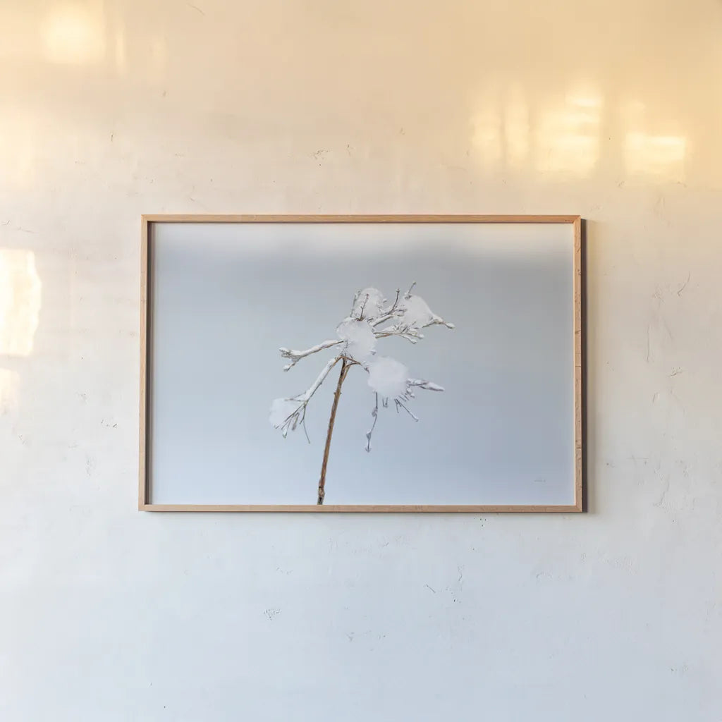 Diamonds in Winter I by Felicity Bradley. shown as a paper print in a natural frame. Available as a archival giclee rolled canvas, fine art paper, or poster print. SKU 60537i.