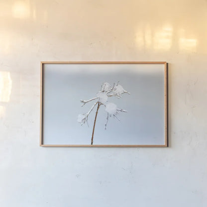 Diamonds in Winter I by Felicity Bradley. shown as a paper print in a natural frame. Available as a archival giclee rolled canvas, fine art paper, or poster print. SKU 60537i.