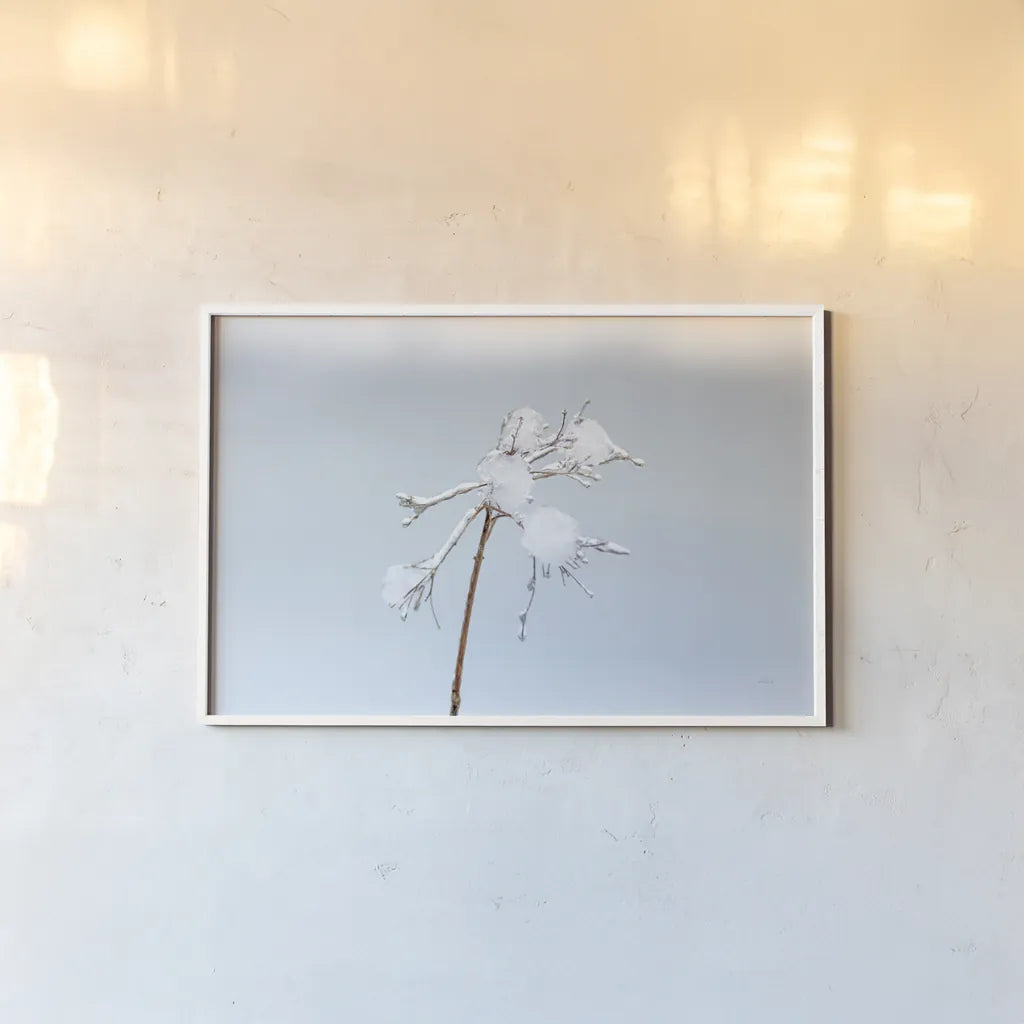 Diamonds in Winter I by Felicity Bradley. shown as a paper print in a white frame. Available as a archival giclee rolled canvas, fine art paper, or poster print. SKU 60537i.