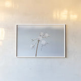 Diamonds in Winter I by Felicity Bradley. shown as a paper print in a white frame. Available as a archival giclee rolled canvas, fine art paper, or poster print. SKU 60537i.