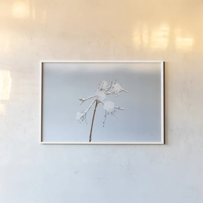 Diamonds in Winter I by Felicity Bradley. shown as a paper print in a white frame. Available as a archival giclee rolled canvas, fine art paper, or poster print. SKU 60537i.