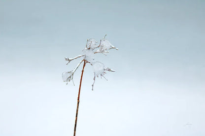 Diamonds in Winter II by Felicity Bradley. SKU 60538i. Archival Giclee Fine art print for wall decor.