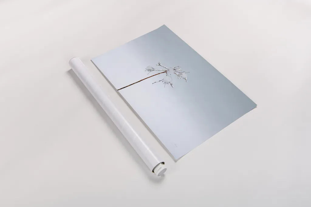 Diamonds in Winter II by Felicity Bradley. shown as a rolled paper print. Available as archival giclee rolled canvas, fine art paper, or poster print. SKU 60538i.