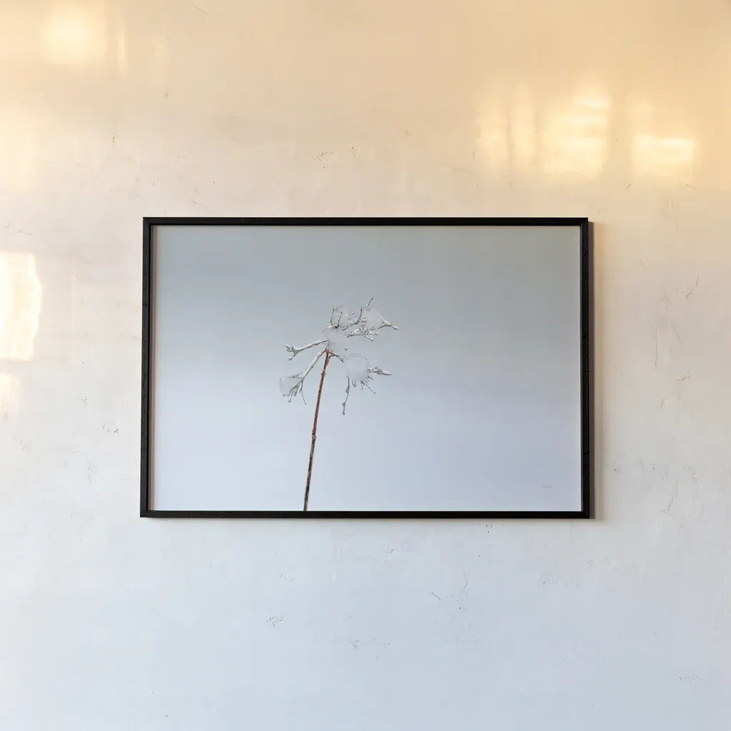 Diamonds in Winter II by Felicity Bradley. shown as a paper print in a black flame. Available as a archival giclee rolled canvas, fine art paper, or poster print. SKU 60538i.