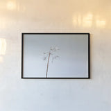 Diamonds in Winter II by Felicity Bradley. shown as a paper print in a black flame. Available as a archival giclee rolled canvas, fine art paper, or poster print. SKU 60538i.