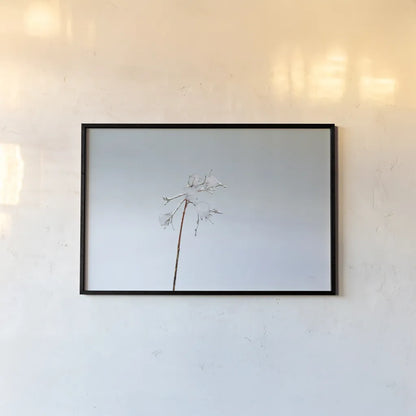 Diamonds in Winter II by Felicity Bradley. shown as a paper print in a black flame. Available as a archival giclee rolled canvas, fine art paper, or poster print. SKU 60538i.