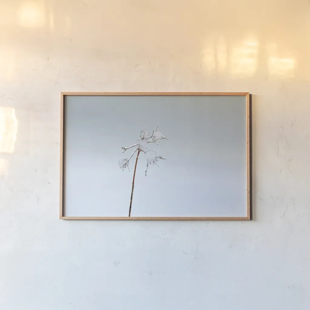 Diamonds in Winter II by Felicity Bradley. shown as a paper print in a natural frame. Available as a archival giclee rolled canvas, fine art paper, or poster print. SKU 60538i.