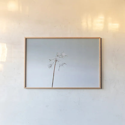 Diamonds in Winter II by Felicity Bradley. shown as a paper print in a natural frame. Available as a archival giclee rolled canvas, fine art paper, or poster print. SKU 60538i.