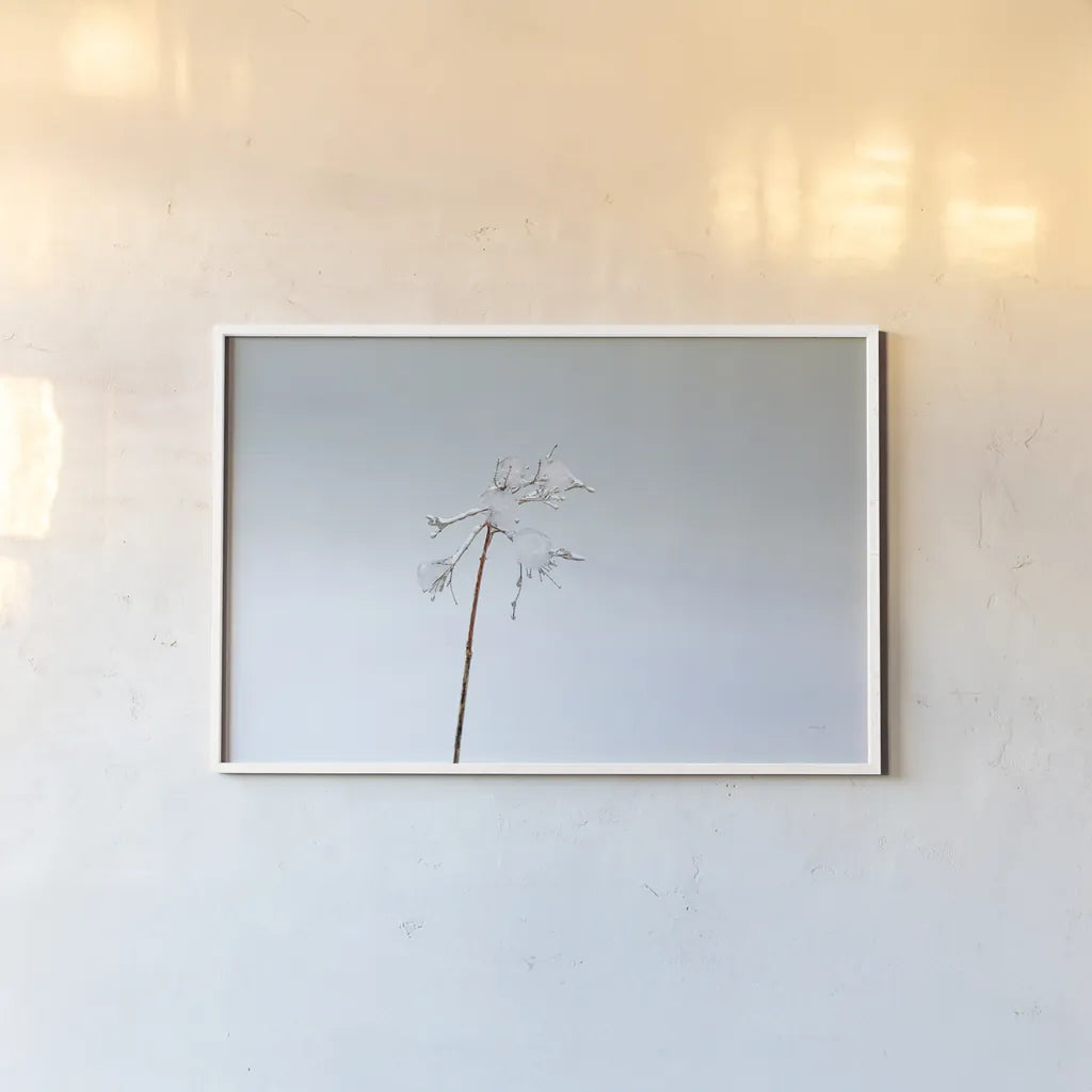 Diamonds in Winter II by Felicity Bradley. shown as a paper print in a white frame. Available as a archival giclee rolled canvas, fine art paper, or poster print. SKU 60538i.