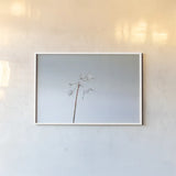 Diamonds in Winter II by Felicity Bradley. shown as a paper print in a white frame. Available as a archival giclee rolled canvas, fine art paper, or poster print. SKU 60538i.