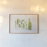 Flat Lay Ferns I by Felicity Bradley. shown as a paper print in a natural frame. Available as a archival giclee rolled canvas, fine art paper, or poster print. SKU 45704i.