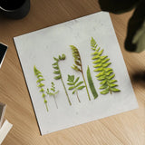 Flat Lay Ferns IV by Felicity Bradley. Shown as a detailed flat fine art print, highlighting archival giclee quality. Available as an archival giclee rolled canvas, fine art paper, or poster print. SKU 45707a.