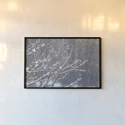 Glistening Branches I by Felicity Bradley. shown as a paper print in a black flame. Available as a archival giclee rolled canvas, fine art paper, or poster print. SKU 60539i.