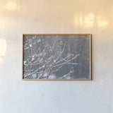 Glistening Branches I by Felicity Bradley. shown as a paper print in a natural frame. Available as a archival giclee rolled canvas, fine art paper, or poster print. SKU 60539i.