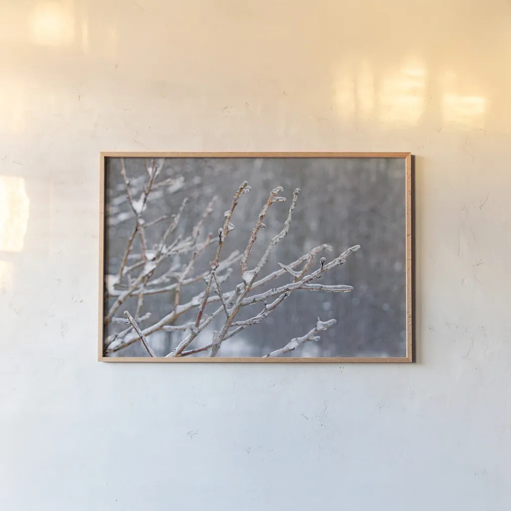 Glistening Branches I by Felicity Bradley. shown as a paper print in a natural frame. Available as a archival giclee rolled canvas, fine art paper, or poster print. SKU 60539i.