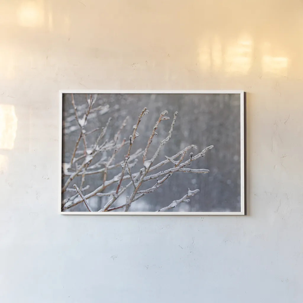 Glistening Branches I by Felicity Bradley. shown as a paper print in a white frame. Available as a archival giclee rolled canvas, fine art paper, or poster print. SKU 60539i.