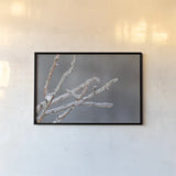Glistening Branches II by Felicity Bradley. shown as a paper print in a black flame. Available as a archival giclee rolled canvas, fine art paper, or poster print. SKU 60540i.