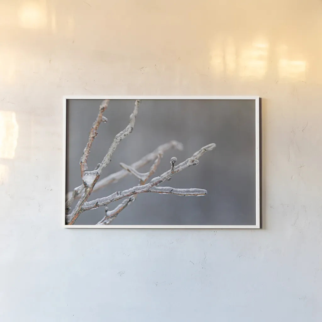 Glistening Branches II by Felicity Bradley. shown as a paper print in a white frame. Available as a archival giclee rolled canvas, fine art paper, or poster print. SKU 60540i.