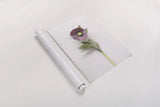 Hellebore Study VI by Felicity Bradley. shown as a rolled paper print. Available as archival giclee rolled canvas, fine art paper, or poster print. SKU 36946h.