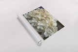 Hydrangea Delight I by Felicity Bradley. shown as a rolled paper print. Available as archival giclee rolled canvas, fine art paper, or poster print. SKU 36959i.
