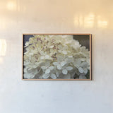 Hydrangea Delight I by Felicity Bradley. shown as a paper print in a natural frame. Available as a archival giclee rolled canvas, fine art paper, or poster print. SKU 36959i.