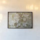 Hydrangea Delight II by Felicity Bradley. shown as a paper print in a black flame. Available as a archival giclee rolled canvas, fine art paper, or poster print. SKU 36960i.