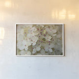 Hydrangea Delight II by Felicity Bradley. shown as a paper print in a white frame. Available as a archival giclee rolled canvas, fine art paper, or poster print. SKU 36960i.