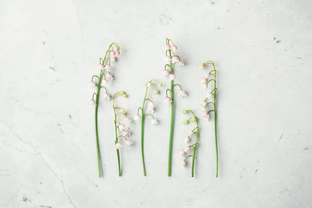 May Bell Blooms by Felicity Bradley. SKU 48476i. Archival Giclee Fine art print for wall decor.