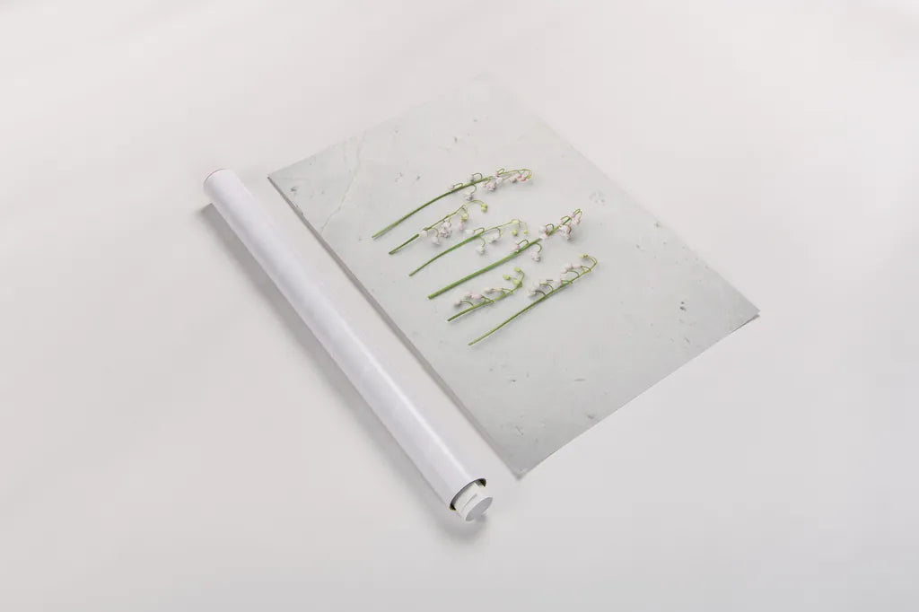 May Bell Blooms by Felicity Bradley. shown as a rolled paper print. Available as archival giclee rolled canvas, fine art paper, or poster print. SKU 48476i.