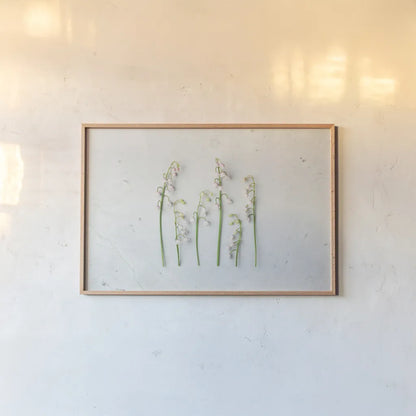 May Bell Blooms by Felicity Bradley. shown as a paper print in a natural frame. Available as a archival giclee rolled canvas, fine art paper, or poster print. SKU 48476i.