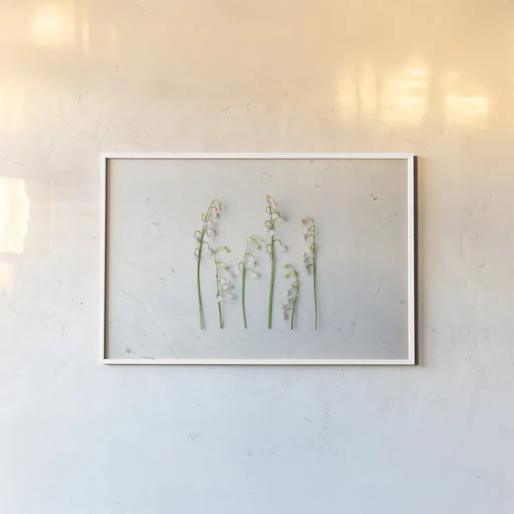 May Bell Blooms by Felicity Bradley. shown as a paper print in a white frame. Available as a archival giclee rolled canvas, fine art paper, or poster print. SKU 48476i.