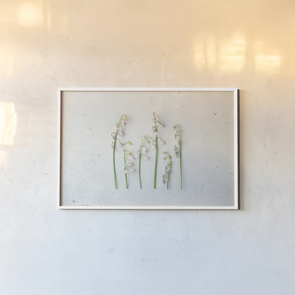 May Bell Blooms by Felicity Bradley. shown as a paper print in a white frame. Available as a archival giclee rolled canvas, fine art paper, or poster print. SKU 48476i.