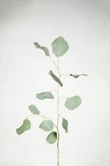 Simple Stems I by Felicity Bradley. SKU 48469h. Archival Giclee Fine art print for wall decor.