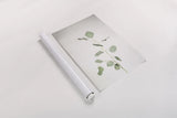 Simple Stems I by Felicity Bradley. shown as a rolled paper print. Available as archival giclee rolled canvas, fine art paper, or poster print. SKU 48469h.