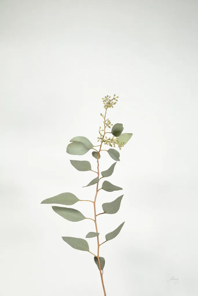 Simple Stems II by Felicity Bradley. SKU 48470h. Archival Giclee Fine art print for wall decor.