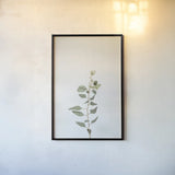 Simple Stems II by Felicity Bradley. shown as a paper print in a black flame. Available as a archival giclee rolled canvas, fine art paper, or poster print. SKU 48470h.