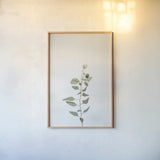 Simple Stems II by Felicity Bradley. shown as a paper print in a natural frame. Available as a archival giclee rolled canvas, fine art paper, or poster print. SKU 48470h.