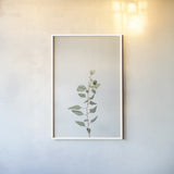 Simple Stems II by Felicity Bradley. shown as a paper print in a white frame. Available as a archival giclee rolled canvas, fine art paper, or poster print. SKU 48470h.