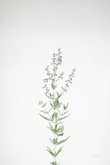 Simple Stems III by Felicity Bradley. SKU 48471h. Archival Giclee Fine art print for wall decor.