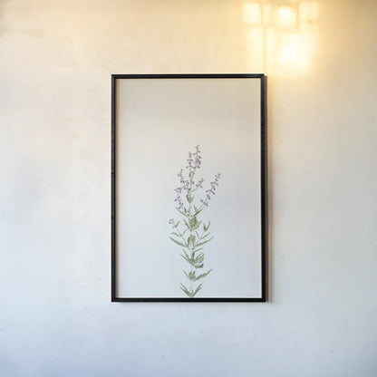 Simple Stems III by Felicity Bradley. shown as a paper print in a black flame. Available as a archival giclee rolled canvas, fine art paper, or poster print. SKU 48471h.