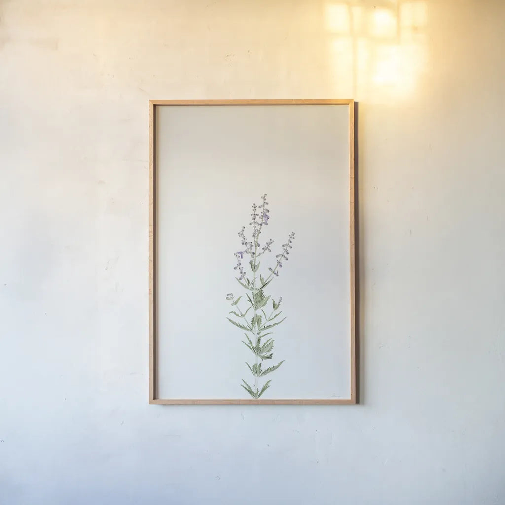 Simple Stems III by Felicity Bradley. shown as a paper print in a natural frame. Available as a archival giclee rolled canvas, fine art paper, or poster print. SKU 48471h.