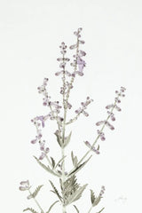 Simple Stems III Light Crop by Felicity Bradley. SKU 56818h. Archival Giclee Fine art print for wall decor.
