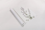Simple Stems III Light Crop by Felicity Bradley. shown as a rolled paper print. Available as archival giclee rolled canvas, fine art paper, or poster print. SKU 56818h.