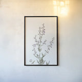 Simple Stems III Light Crop by Felicity Bradley. shown as a paper print in a black flame. Available as a archival giclee rolled canvas, fine art paper, or poster print. SKU 56818h.