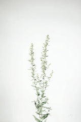 Simple Stems IV by Felicity Bradley. SKU 48472h. Archival Giclee Fine art print for wall decor.