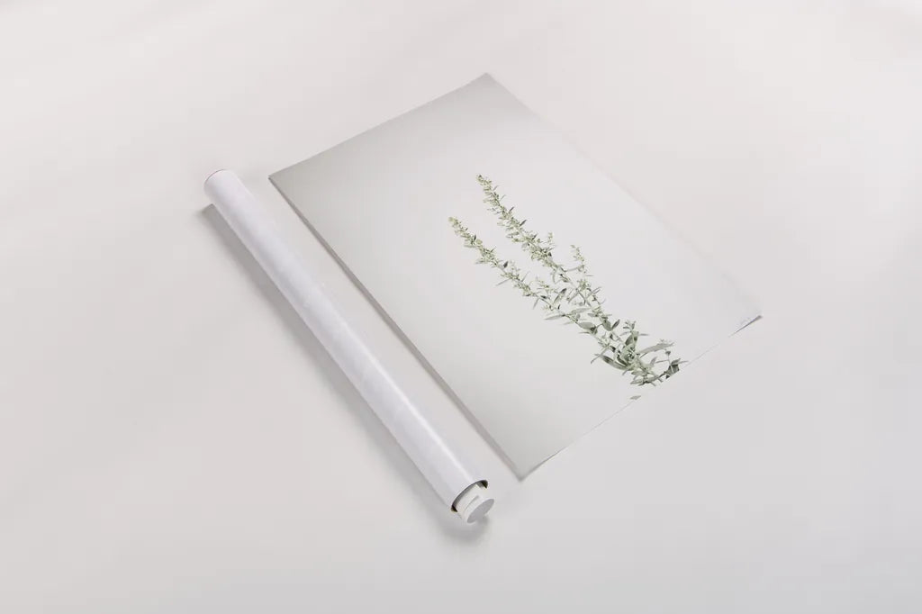Simple Stems IV by Felicity Bradley. shown as a rolled paper print. Available as archival giclee rolled canvas, fine art paper, or poster print. SKU 48472h.